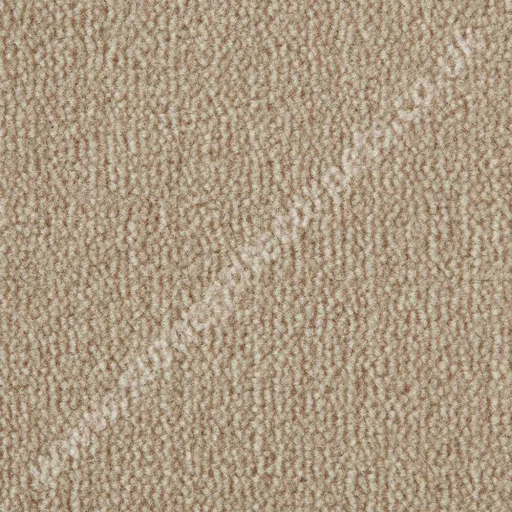 Westex Carpets Westend Velvet - Colour Bisque (Per M²)