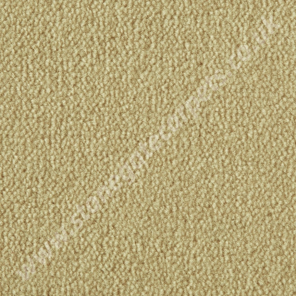 Westex Carpets Westend Velvet - Colour Cider (Per M²)