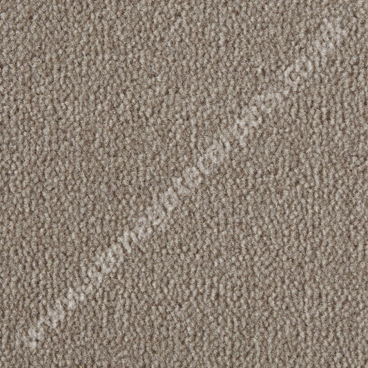 Westex Carpets Westend Velvet - Colour Clay (Per M²)