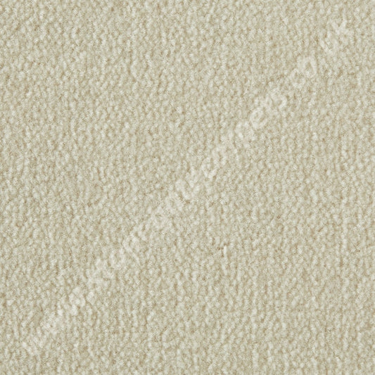 Westex Carpets Westend Velvet - Colour Ermine (Per M²)