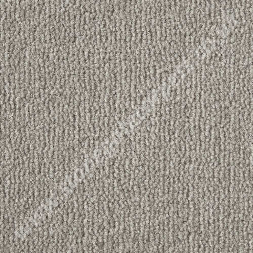 Westex Carpets Westend Velvet - Colour Latte (Per M²)