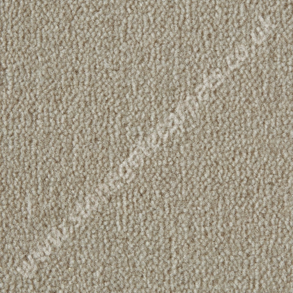 Westex Carpets Westend Velvet - Colour Magnolia (Per M²)