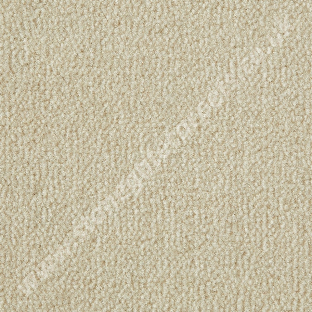 Westex Carpets Westend Velvet - Colour Mascarpone (Per M²)