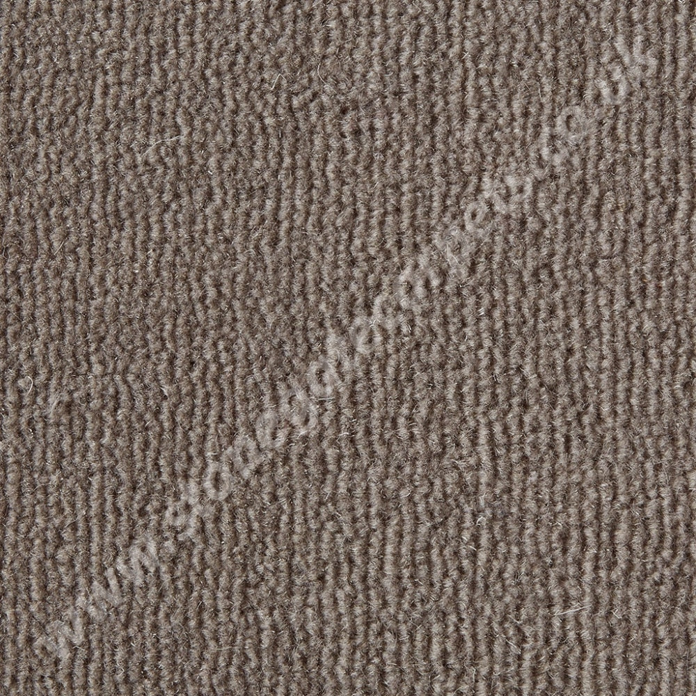 Westex Carpets Westend Velvet - Colour Ormolu (Per M²)