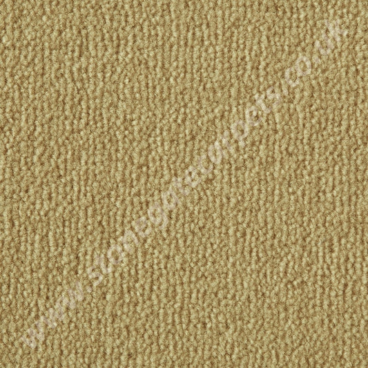 Westex Carpets Westend Velvet - Colour Panama (Per M²)