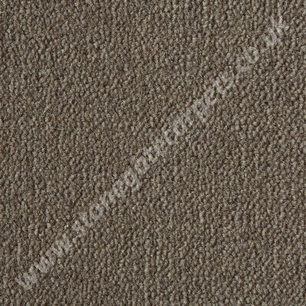 Westex Carpets Westend Velvet - Colour Praline (Per M²)