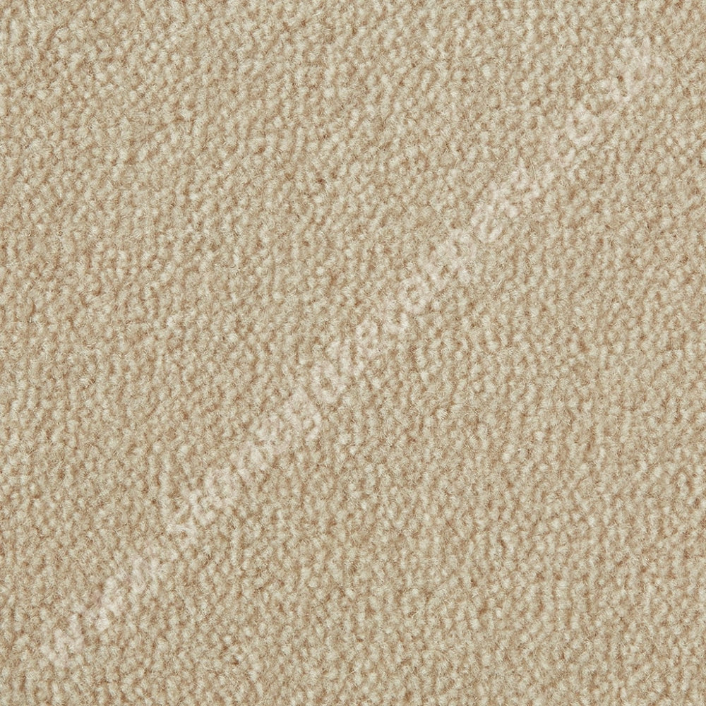 Westex Carpets Westend Velvet - Colour Seashell (Per M²)