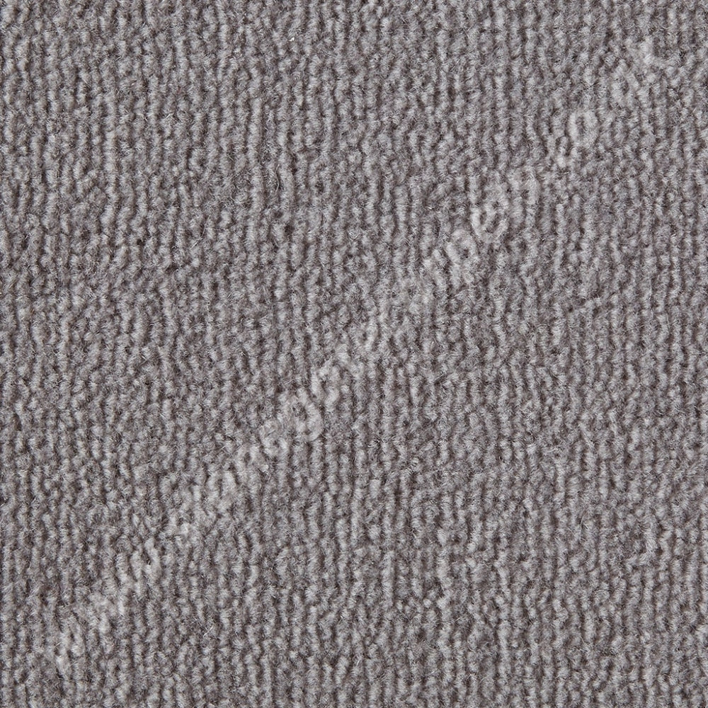Westex Carpets Westend Velvet - Colour Silver Birch (Per M²)