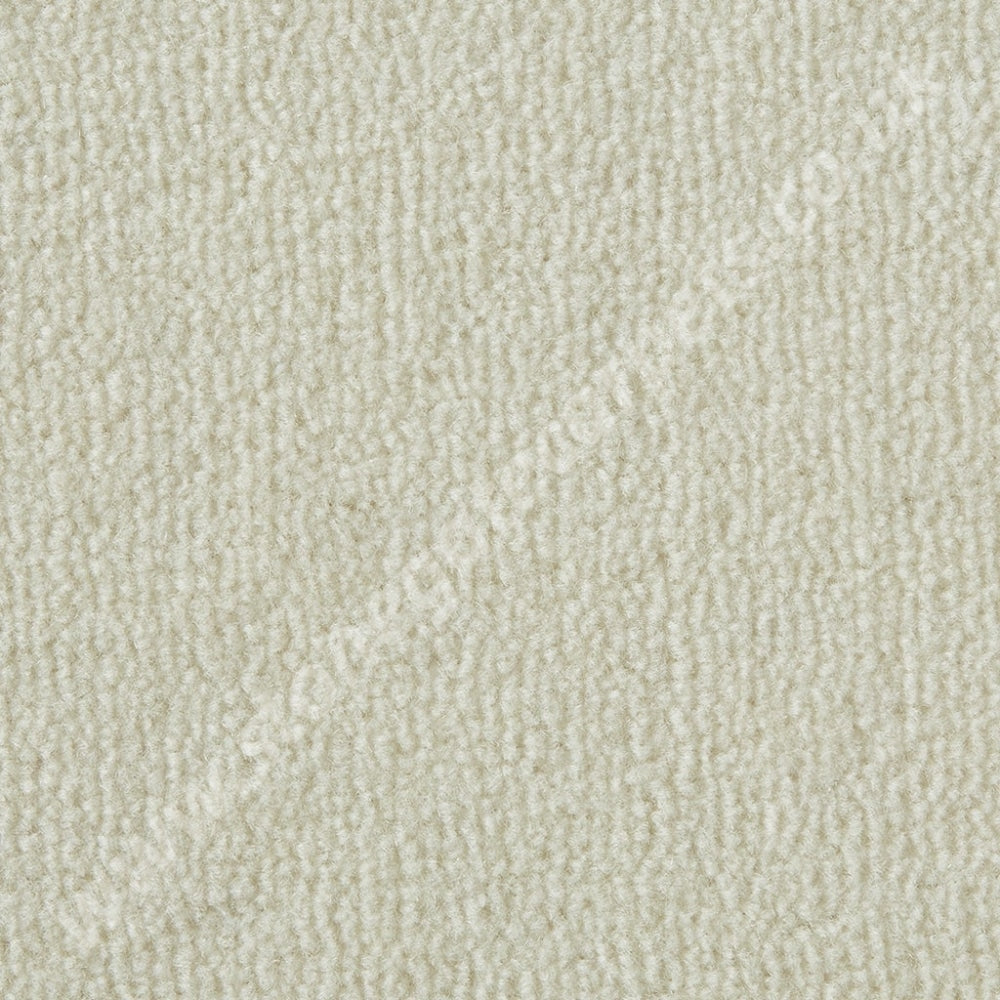 Westex Carpets Westend Velvet - Colour White (Per M²)