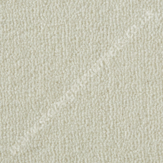 Westex Carpets Westend Velvet - Colour White (Per M²)